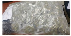 SSPyTM asegura 93 porciones de droga