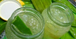 Cómo hacer gel de aloe vera casero