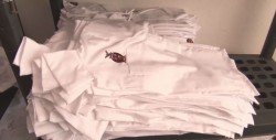 Uniformes y útiles para todos los alumnos de Educación básica