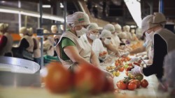 Sinaloa recibe el mejor nivel crediticio en su historia