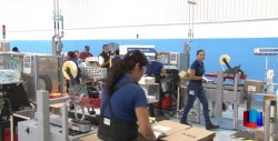 Se consolida generación de empleo