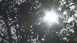 Aumenta el calor, tome precauciones