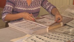 Analizan el voto de la mujer