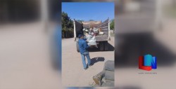 Acciones contra el mosco