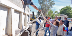 Realizan jornada de descacharre