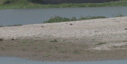 Se secan los ríos de Culiacán
