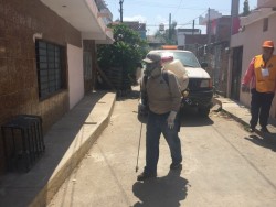 Realizan fumigación domiciliaria