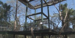 El aviario una aventura con la naturaleza