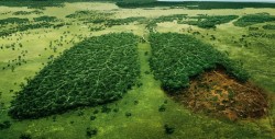 Alarmantes cifras del Día del Medio Ambiente