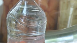 Se protegen del calor y del sol