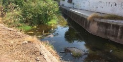 Continúa Ayuntamiento de Culiacán con limpieza de arroyos