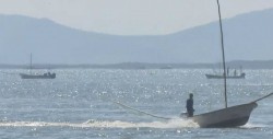 Titular de SAGARPA visitará Sinaloa para reunirse con pescadores