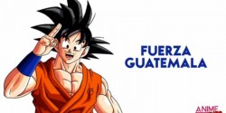 Gokú manda mensaje a los damnificados por la erupción del Volcan de Fuego en Guatemala