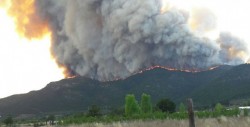 Incendio consume más de 600 hectáreas en Arteaga, Coahuila