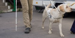 Perros guías tendrán acceso a cualquier lugar público por Ley en Sinaloa