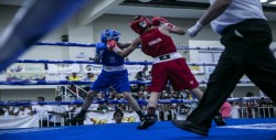 Asegura Sinaloa medallas en el boxeo en la ON 2018