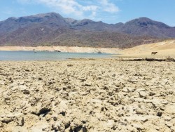 Sigue el temor por agua contaminada en presa Huites por jales derramados