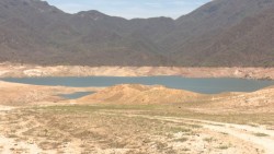 En riesgo agricultura por posible contaminación de agua del Río Fuerte