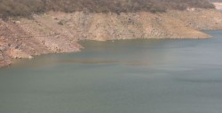 Sin reportes de mortandad de peces o ganado por jales en la presa Huites