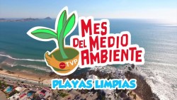 Cuidado de las playas, compromiso entre sociedad y gobierno