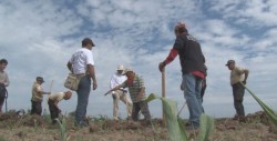 Sinaloa encabeza estados por desapariciones forzadas