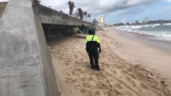 Arroja el mar cuerpo sin vida a la playa