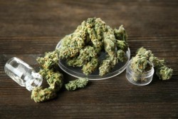 Supremo mexicano concede tercer amparo a uso lúdico de marihuana