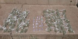 Aseguran 104 bolsas de mariguana en Costas del Sol