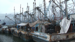 Permanece cerrado el puerto a la navegación: Capitanía
