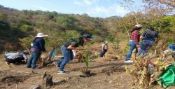 Llegan programas a familias desplazadas