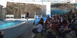 Se registra bonanza en Acuario Mazatlán