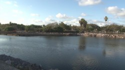 Impulsa Parque Central programas para cuidar flora y fauna