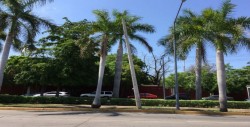 Poste de luz ladeado en la Miguel Alemán