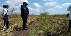 Hallan cuerpo en estado de descomposición en Navolato
