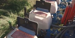 Valida Fundación PRODUCE producción de hortalizas