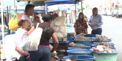 Camaroneras esperan incremento en ventas este verano
