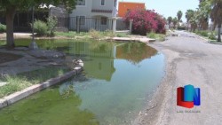 Brota agua negra de alcantarilla en Montecarlo