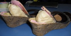 Boliviano ingresaba a Chile cocaína en forma de plantillas de zapatillas