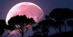 Luna de fresa 2018: ¿Qué es y cuándo puedes verla?