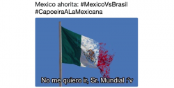 Los memes de la eliminación de México en el Mundial Rusia 2018