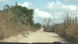 Grave la sequía en la región: Queseros del Sur de Sinaloa