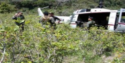 Policía de Perú incauta 2,5 toneladas de hoja de coca en mayor valle productor