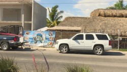 IP pide no bajar la guardia en tema de seguridad