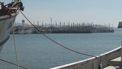 CANAINPESCA confían en AMLO