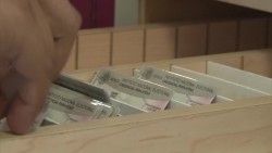 Se reactivan trámites de credenciales de elector
