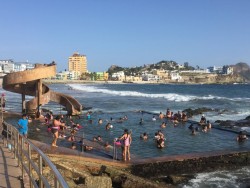 Se refrescan turistas en la Carpa Olivera
