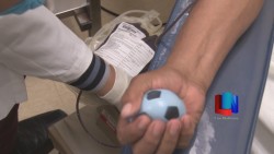 Afirman que donación de sangre debe ser altruista