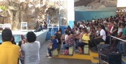 Disfrutan turistas de Acuario Mazatlán