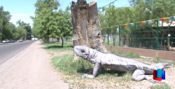 Ya llegaron las iguanas