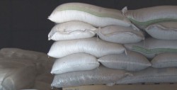 Productores van a requerir de los apoyos federales